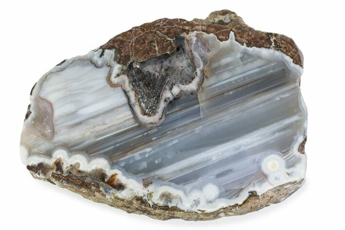 Polished Tilt Egg Half - Wiley's Well, California #373393